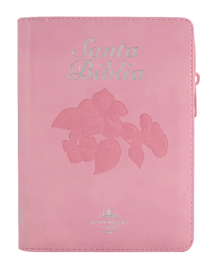 PORTADA (22).webp