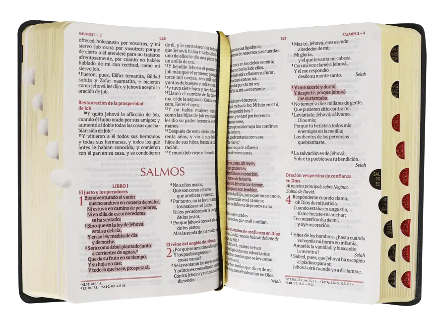 CONTENIDO (23).webp