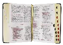CONTENIDO (23).webp