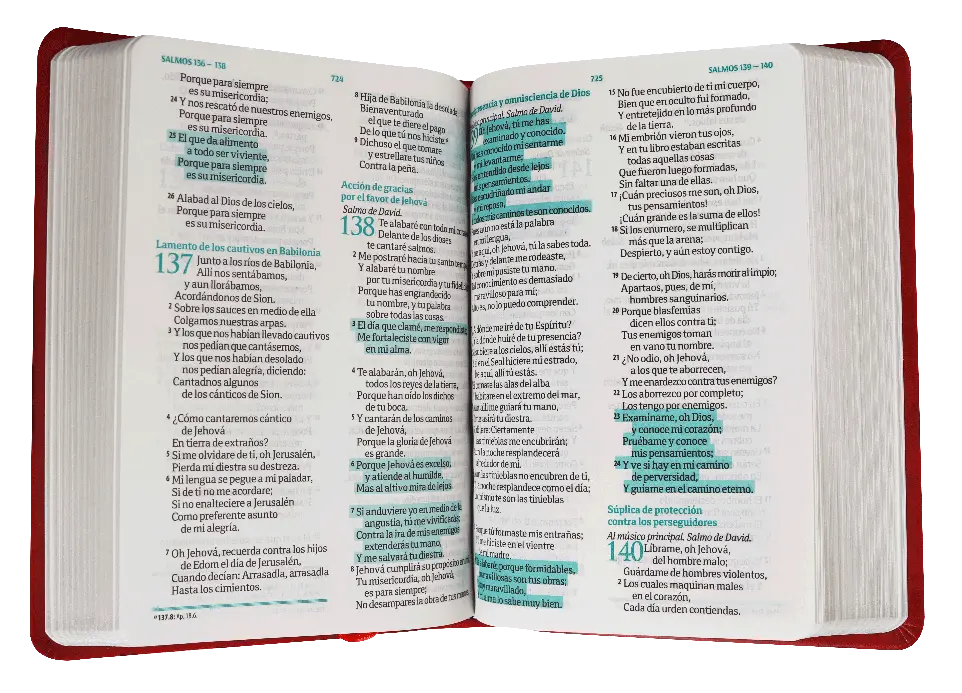 CONTENIDO (24).webp