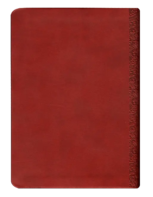 CONTRAPORTADA (27).webp