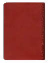 CONTRAPORTADA (27).webp