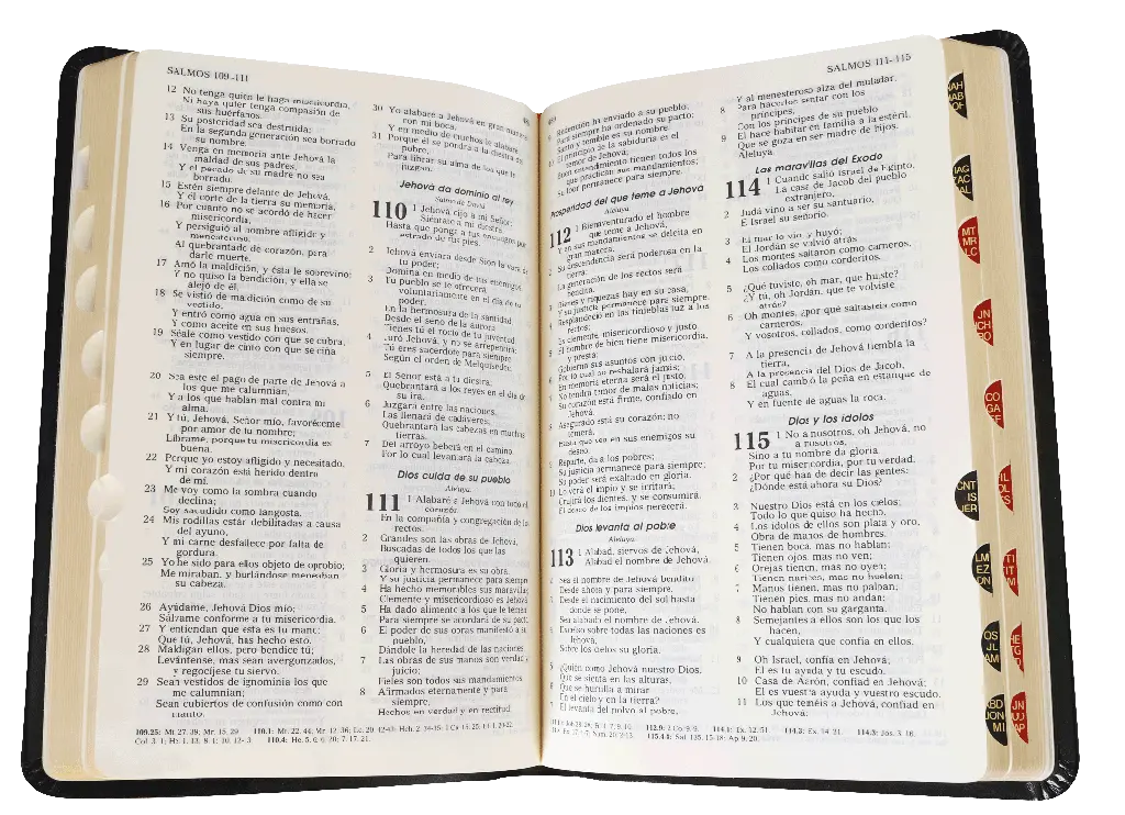 CONTENIDO (25).webp