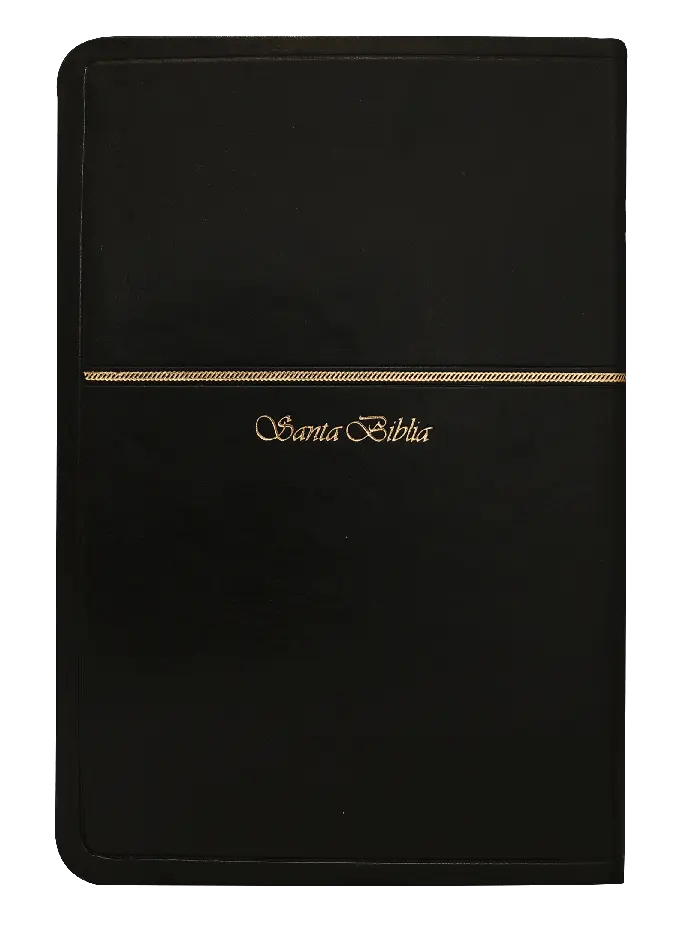 CONTRAPORTADA (28).webp