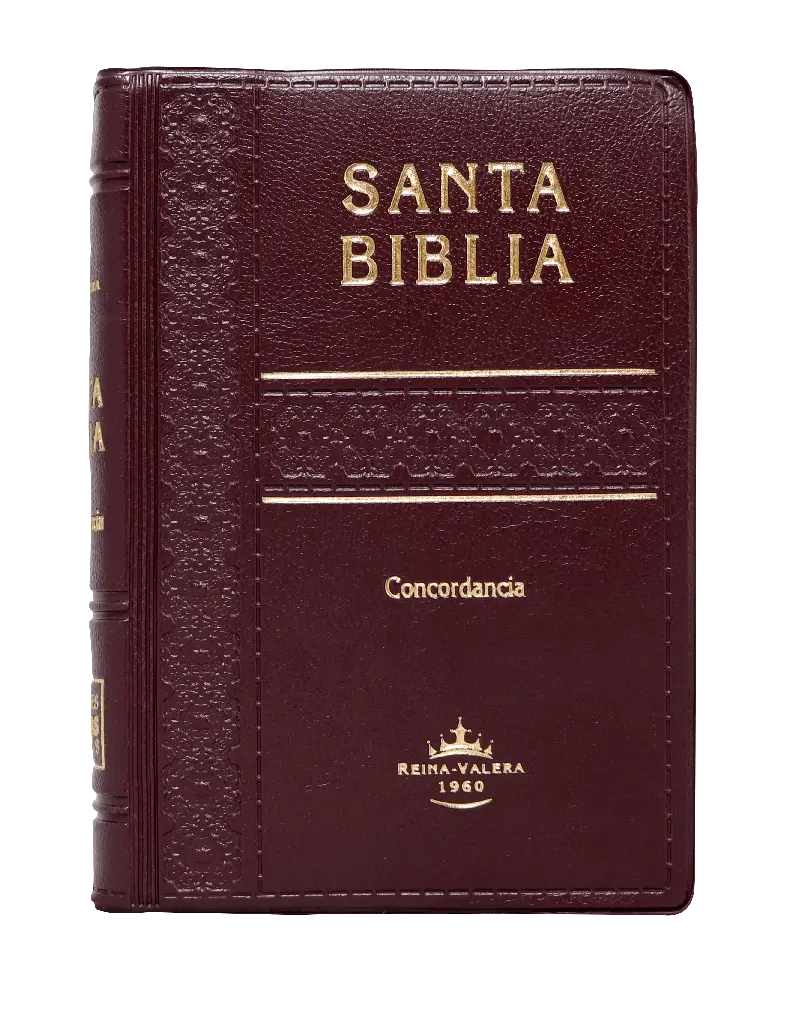 PORTADA (26).webp
