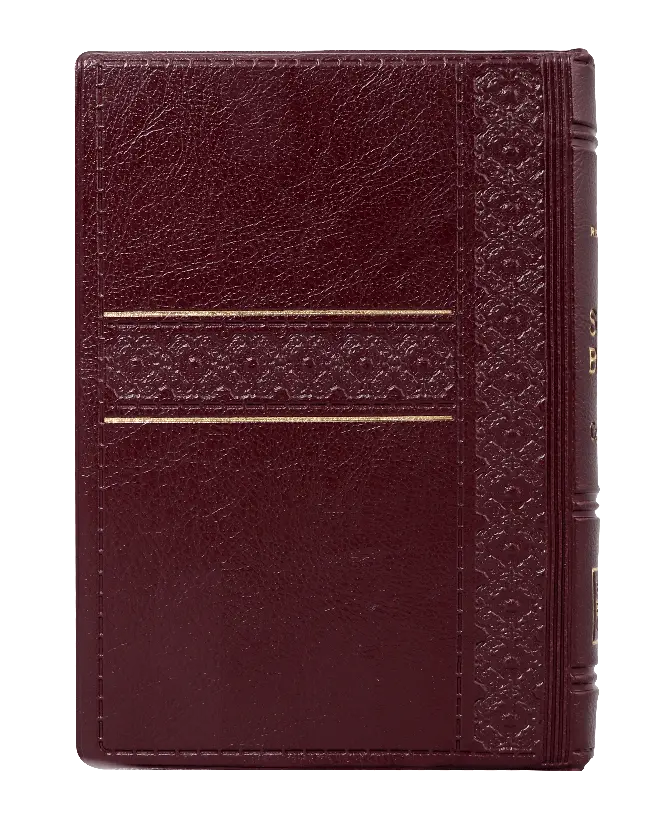 CONTRAPORTADA (29).webp