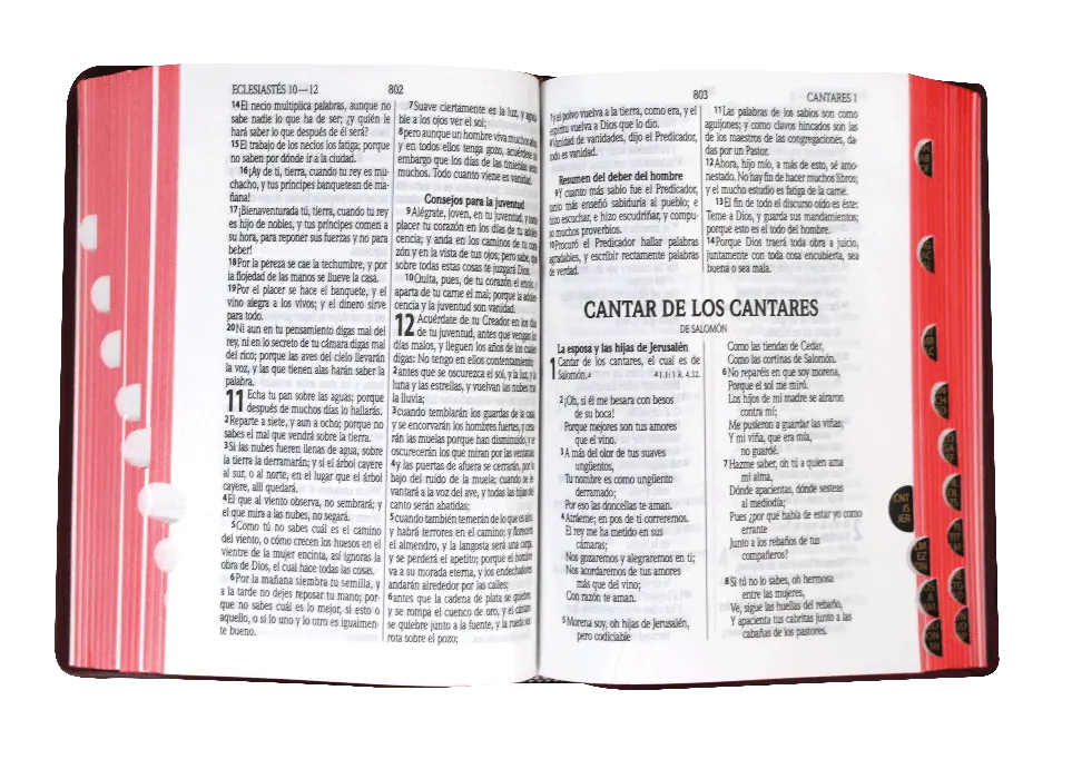 INTERIOR (3).webp