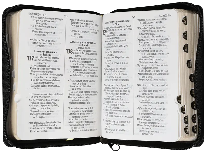 CONTENIDO (26).webp