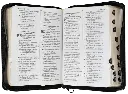CONTENIDO (26).webp