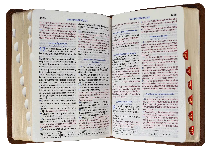CONTENIDO (27).webp