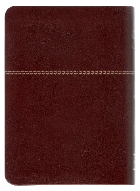 CONTRAPORTADA (31).webp