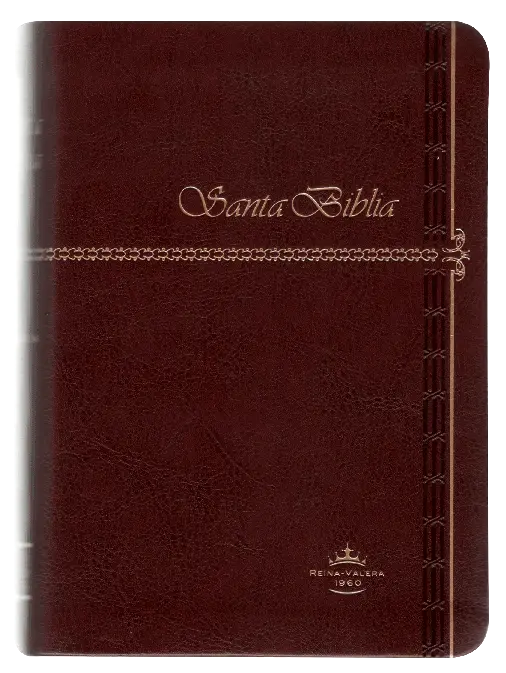 PORTADA (28).webp