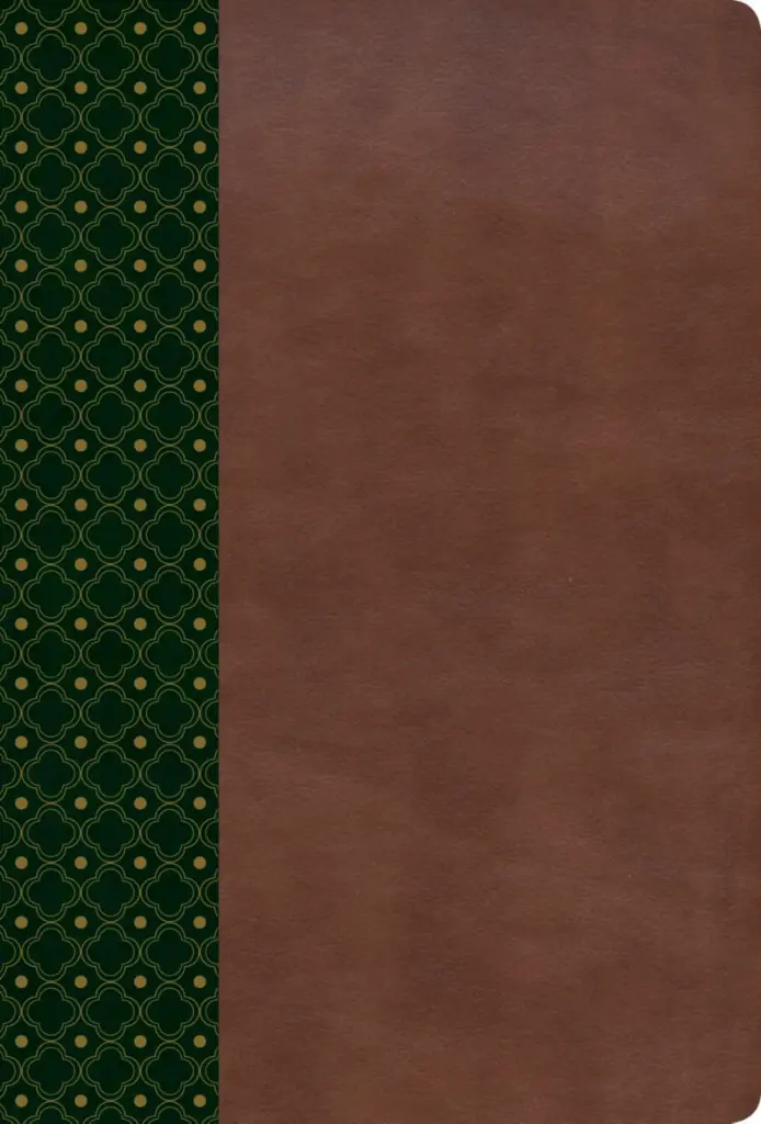 9781433620225.webp