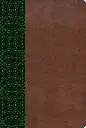 9781433620225.webp