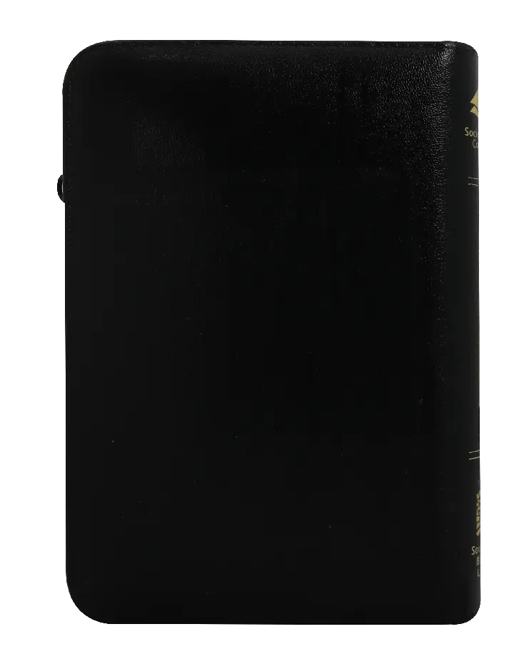 CONTRAPORTADA (39).webp