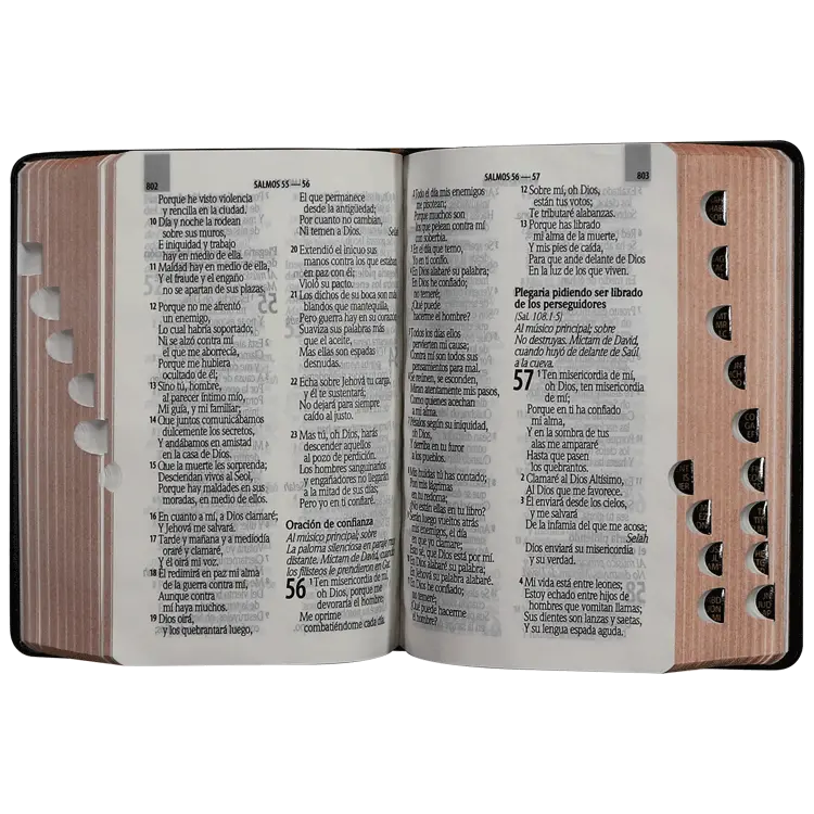 Biblia Reina Valera 1960 Chica Letra Grande Vinil Negra [RVR.webp