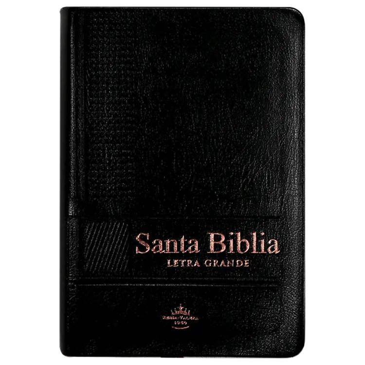 Biblia Reina Valera 1960 Chica Letra Grande Vinil Negra [RVR (1).webp