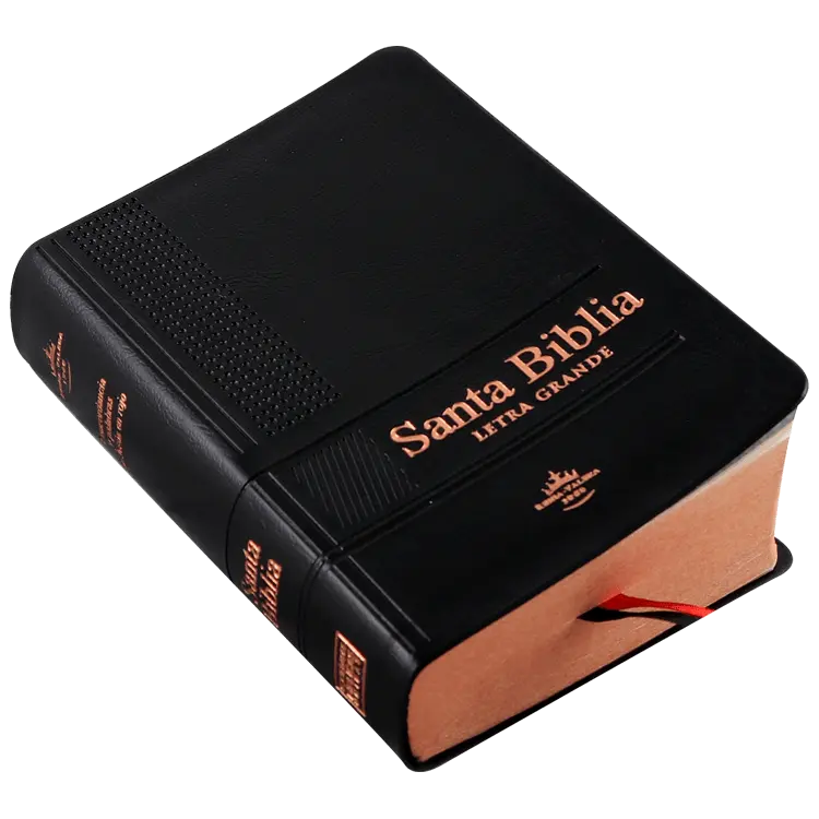 Biblia Reina Valera 1960 Chica Letra Grande Vinil Negra [RVR (2).webp