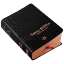 Biblia Reina Valera 1960 Chica Letra Grande Vinil Negra [RVR (2).webp