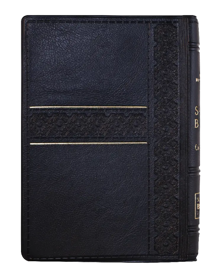 CONTRAPORTADA (40).webp