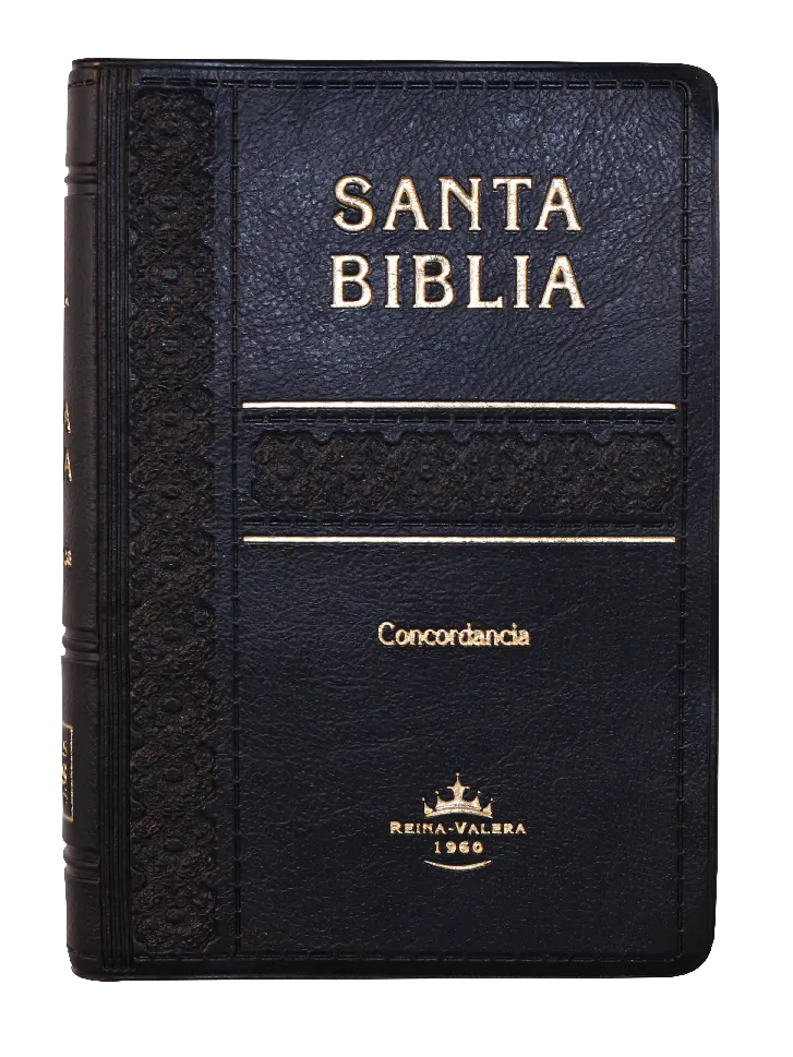 PORTADA (37).webp
