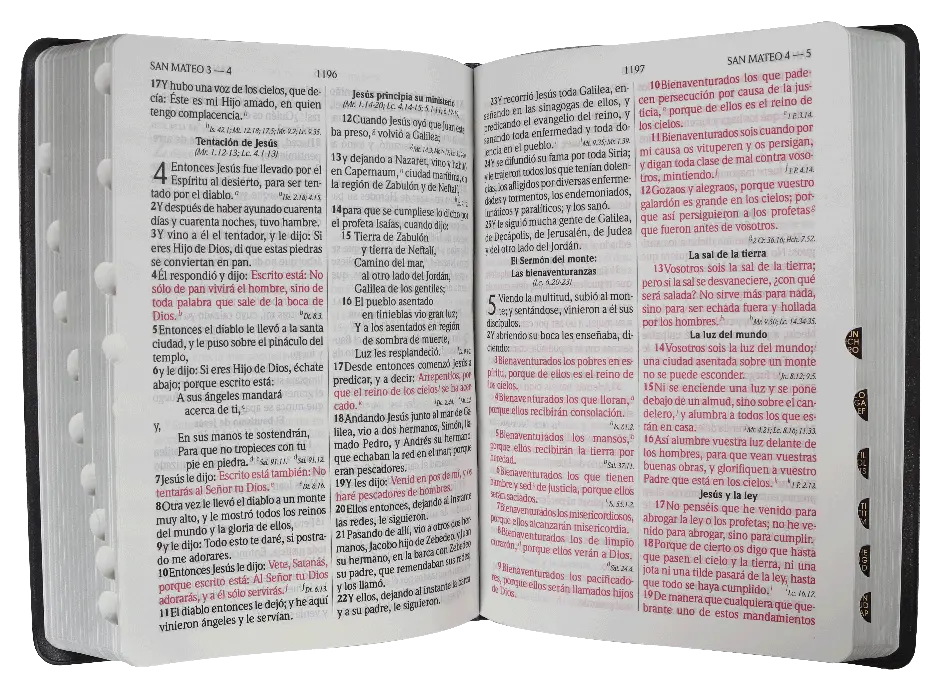 CONTENIDO (32).webp