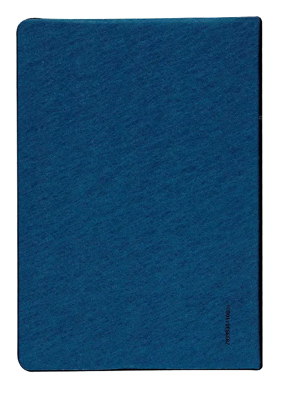 CONTRAPORTADA (41).webp