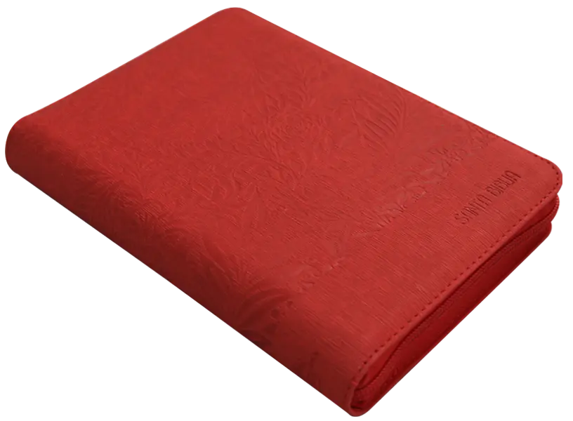 Biblia Reina Valera 1960 Mediana Letra Grande Imitación Piel Rojo Hojitas QR [RVR056cZTILG PJR] (3).webp