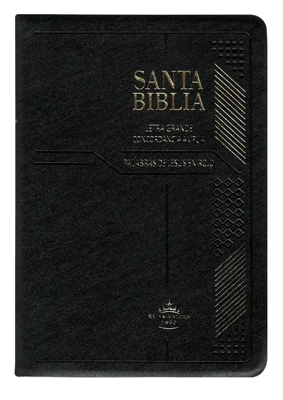 PORTADA (39).webp