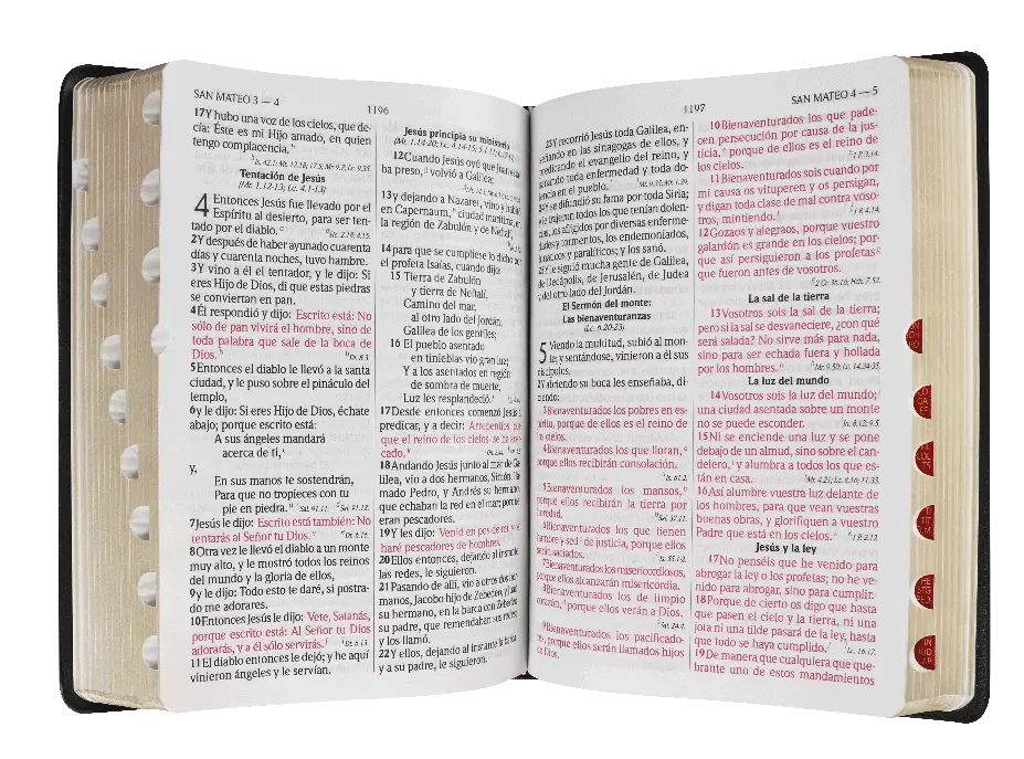 CONTENIDO (33).webp