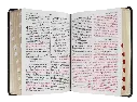 CONTENIDO (33).webp