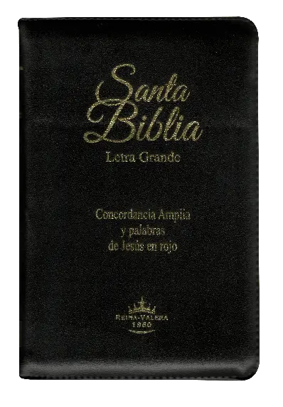 PORTADA (40).webp