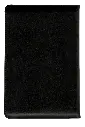 CONTRAPORTADA (43).webp