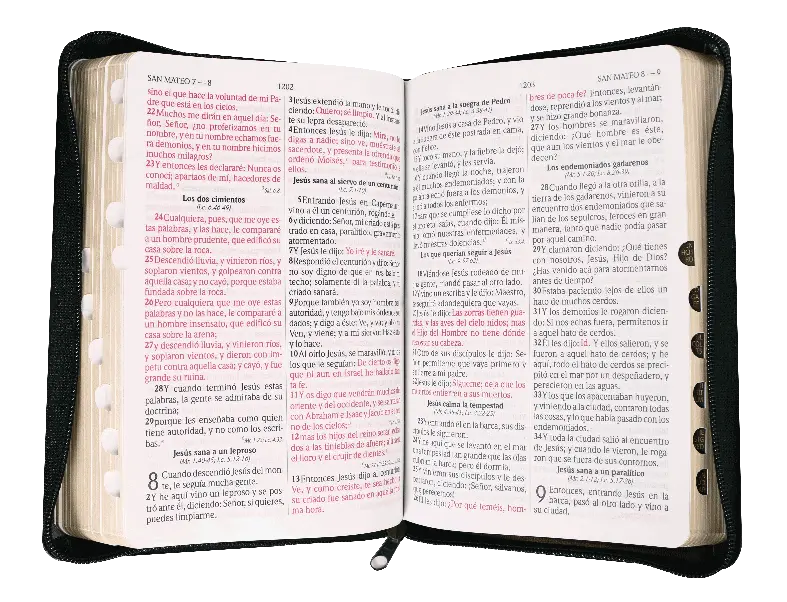 CONTENIDO (34).webp