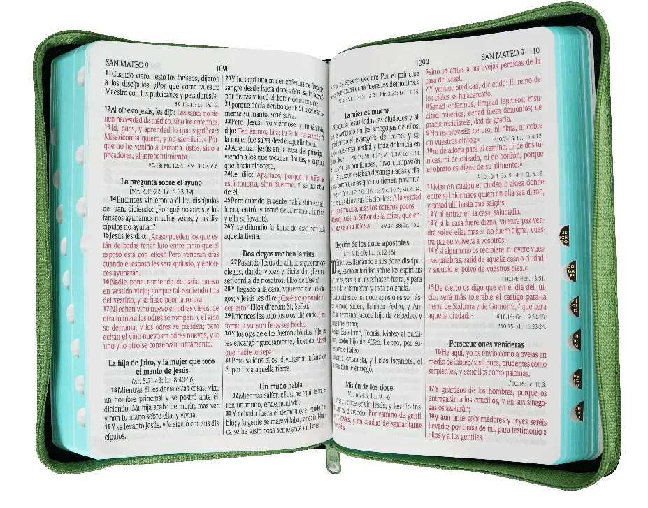 CONTENIDO (35).webp
