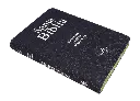 PERFIL (36).webp