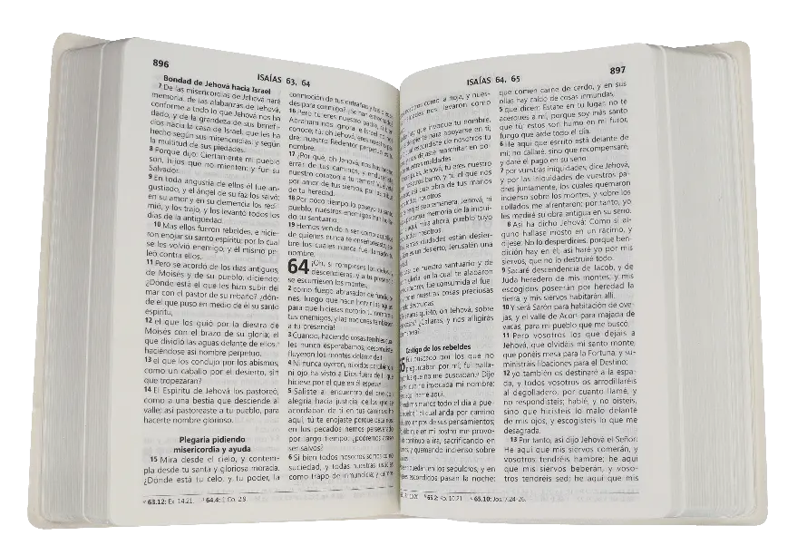 CONTENIDO (36).webp