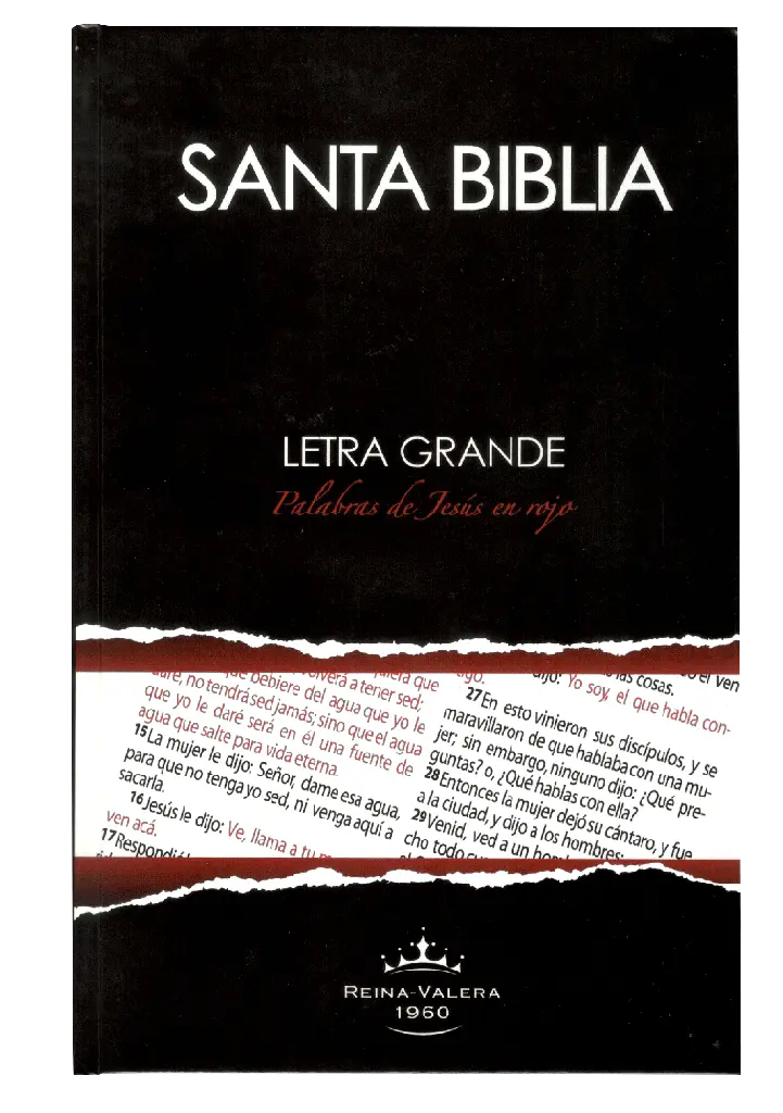 PORTADA (43).webp