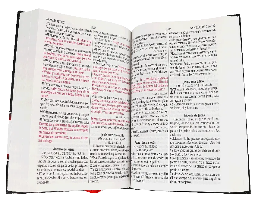 CONTENIDO (37).webp