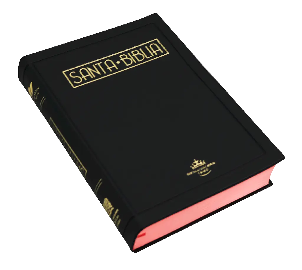 Biblia Reina Valera 1960 Mediana Letra Grande Vinil Negro QR [RVR052cLG PJR] (2).webp