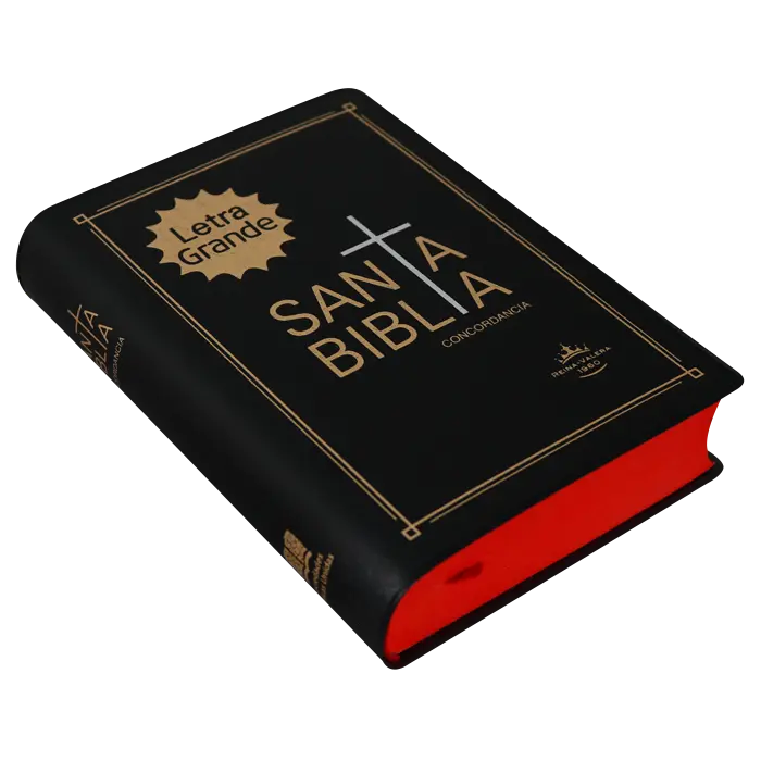 Biblia Reina Valera 1960 Chica Letra Mediana Vinil Negro [RVR042cLG] (2).webp