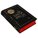 Biblia Reina Valera 1960 Chica Letra Mediana Vinil Negro [RVR042cLG] (2).webp