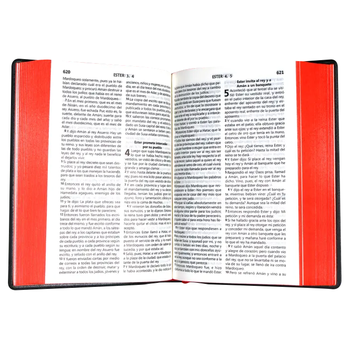 Biblia Reina Valera 1960 Chica Letra Mediana Vinil Negro [RVR042cLG].webp