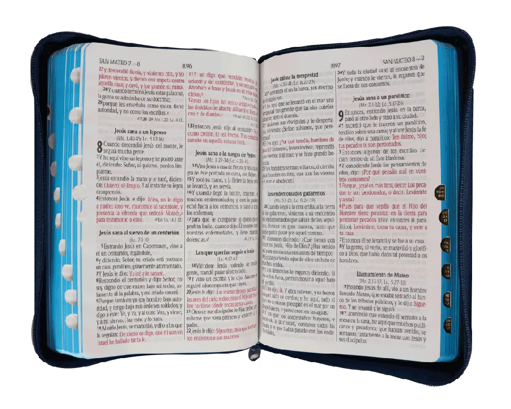 CONTENIDO (1).webp