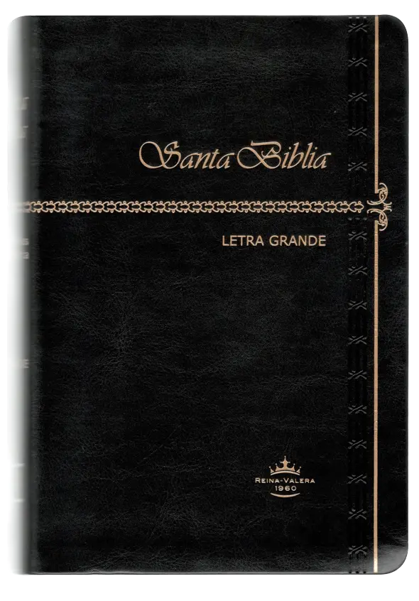 PORTADA (2).webp