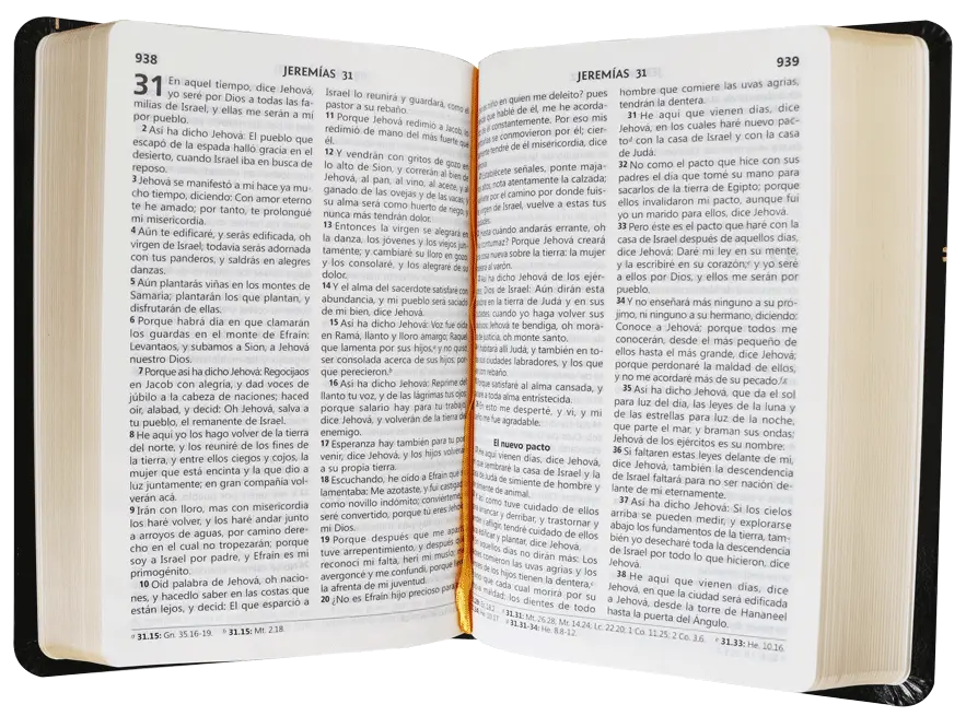 CONTENIDO (2).webp