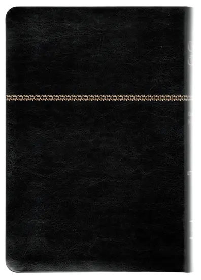 CONTRAPORTADA (2).webp