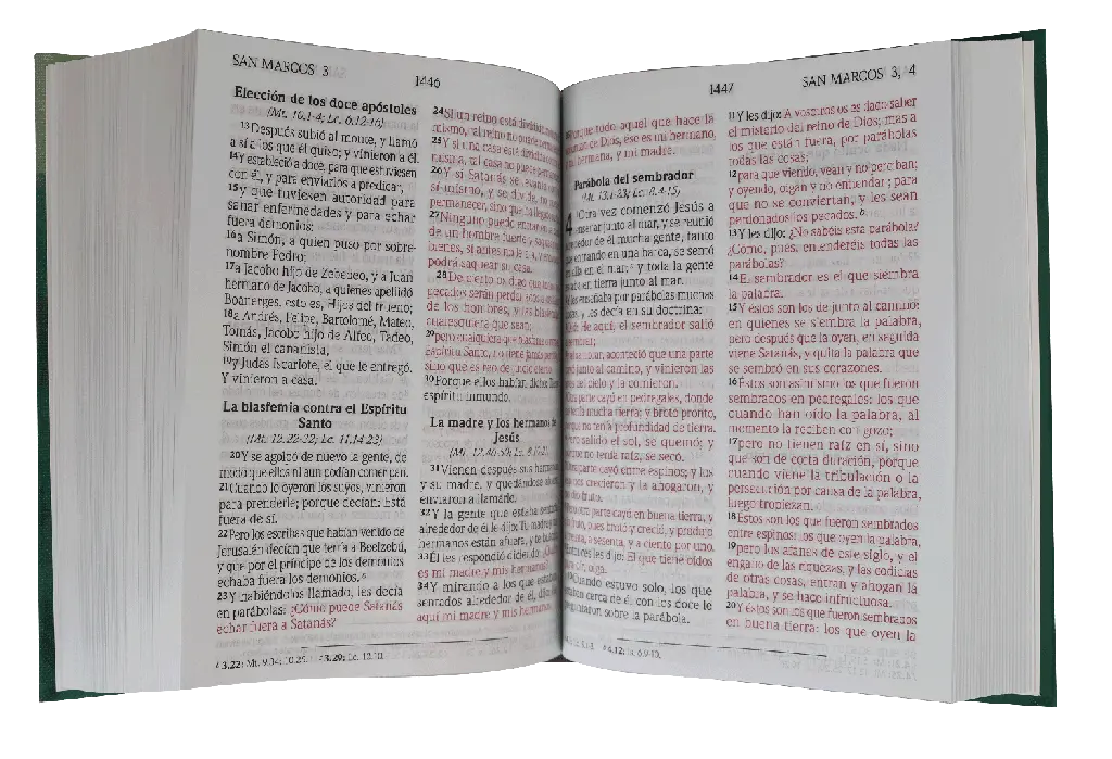 CONTENIDO (3).webp