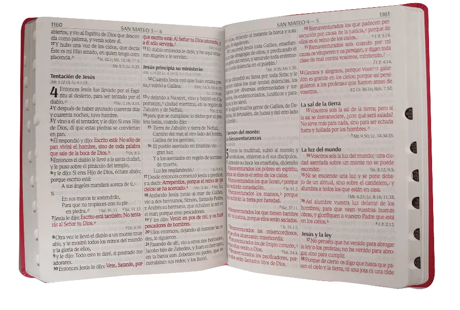 CONTENIDO (6).webp