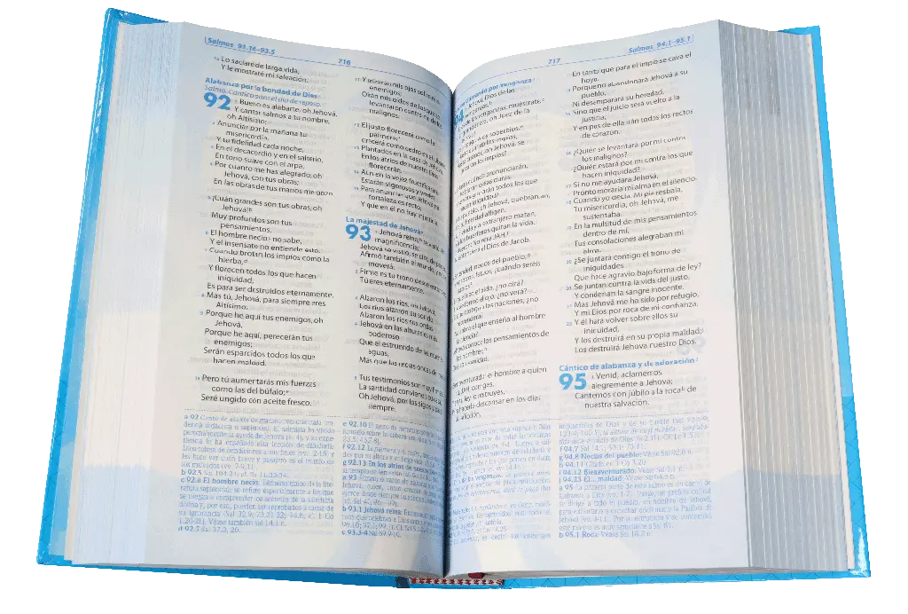 CONTENIDO (7).webp